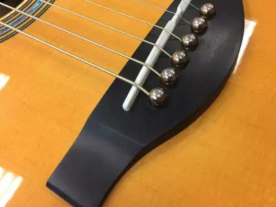 قیمت و خرید نقد و اقساط گیتار ریموندو ms801ce